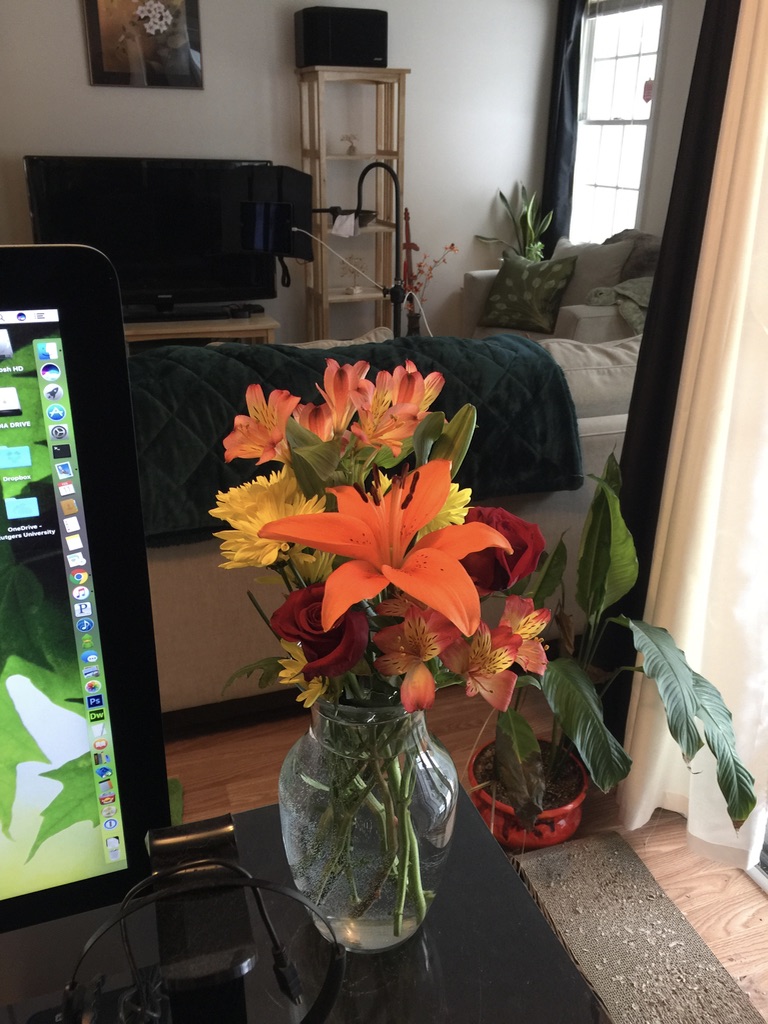 red, yellow, and bright pink flowers with an orange lily in the middle