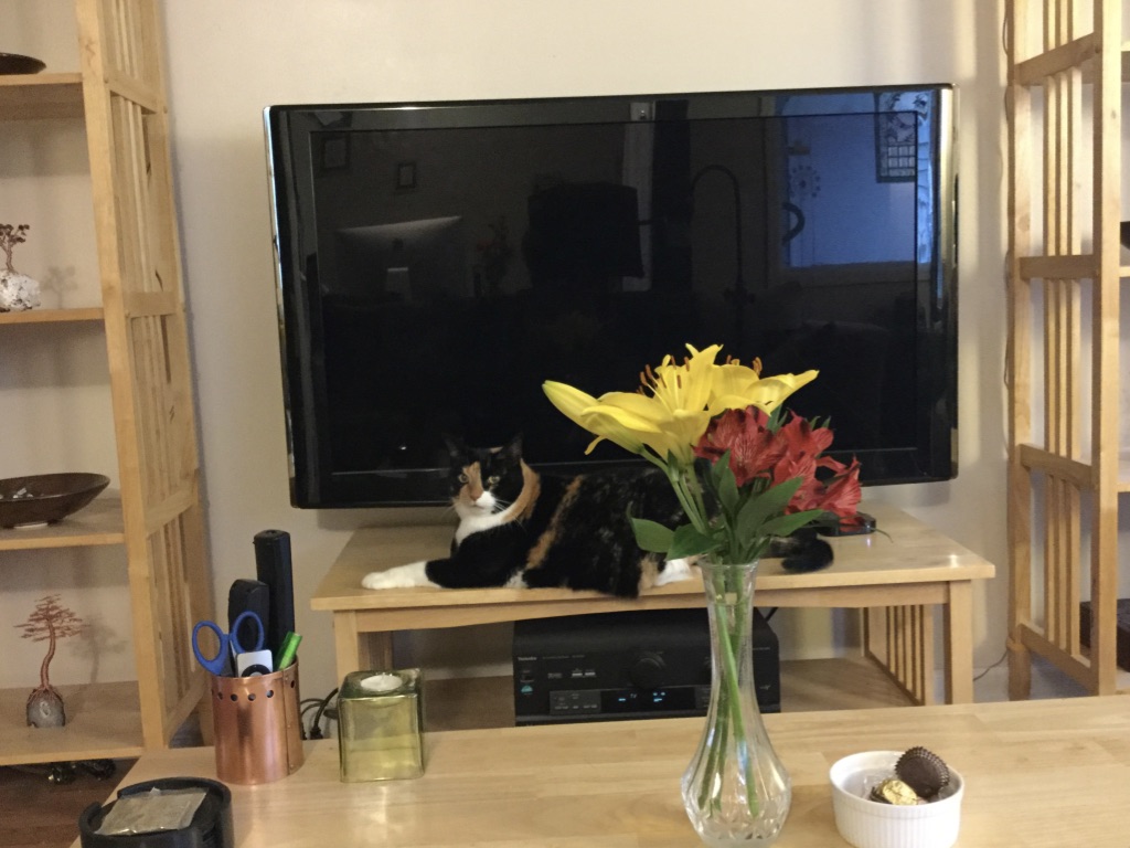 calico cat lying behind yellow lilies